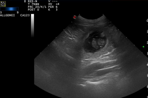 Screenshot 2025-06-09 175659